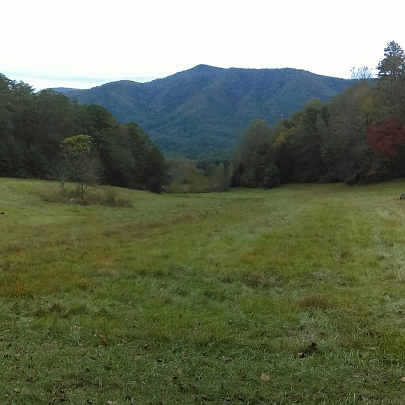 Meet your Posher, Rachel - Picture 1 of 1